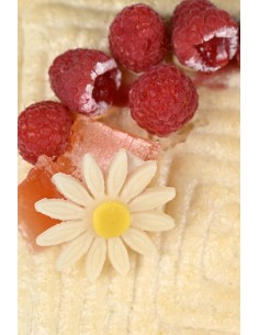 Macaronade Framboises | 5/6 pers. 2