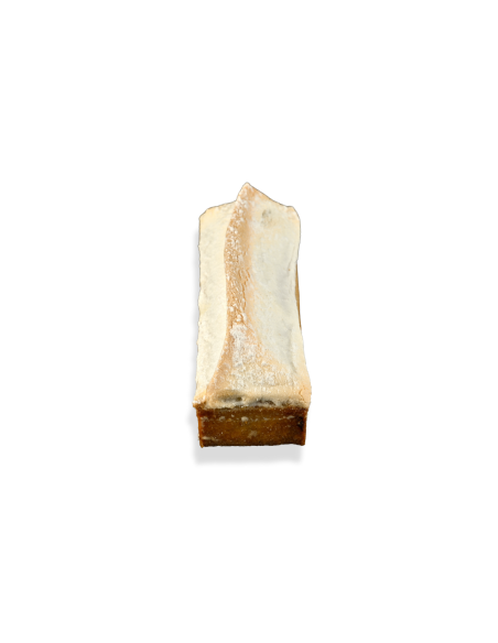 Tarte rhubarbe sureau | Individuel