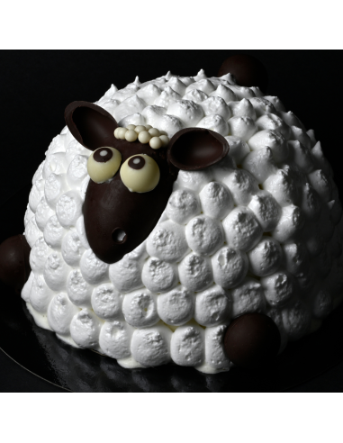 Ardi | Mouton glacé