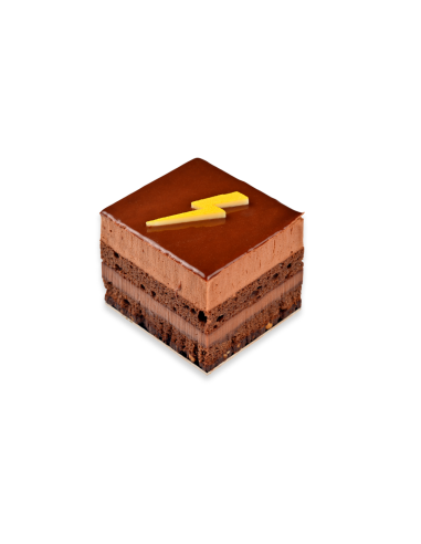 ElectrochoQ | Individuel