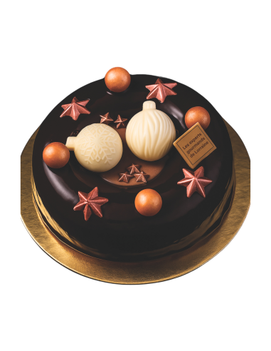 Succulente | Couronne de Noël