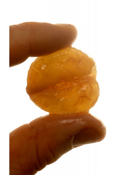 Marrons Glacés