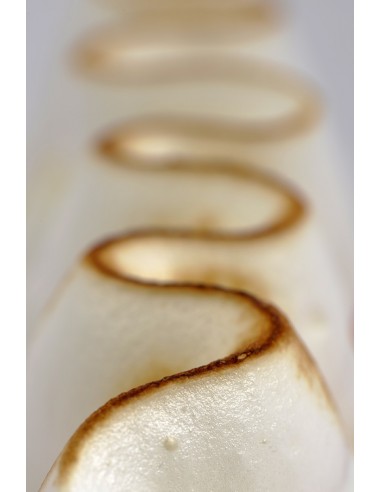 Tarte citron | Individuel