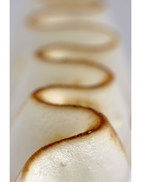 Tarte citron | Individuel